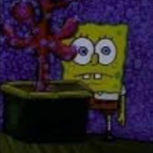 Meet your Posher, Celeste